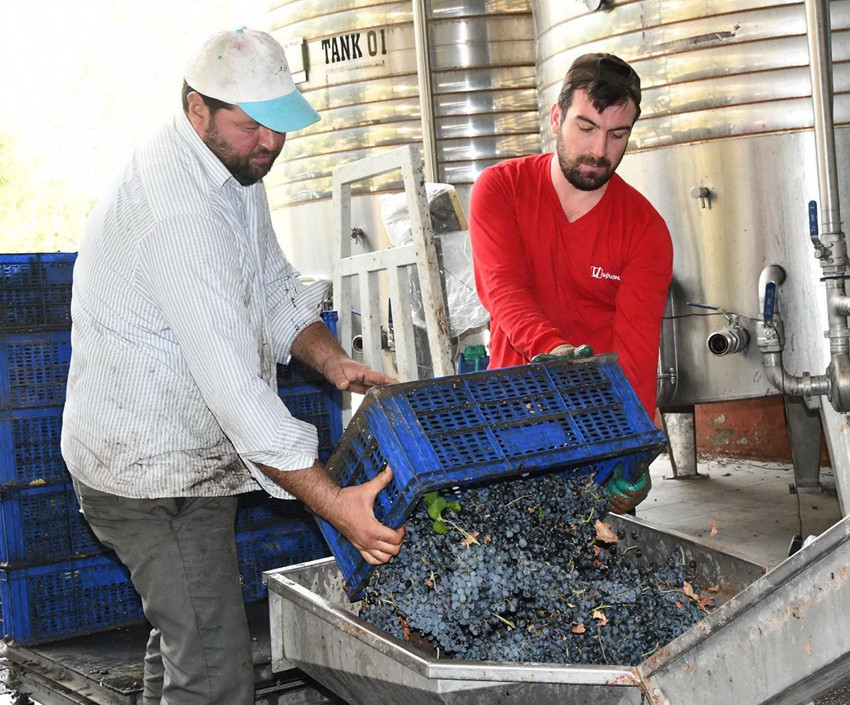 Trakya'nın eşsiz lezzetinin ünü ABD'ye kadar yayıldı... - Resim: 4