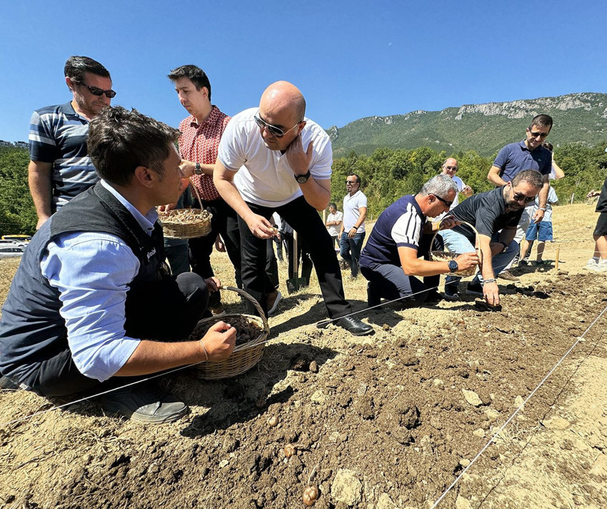 Bir kilosu tam yarım milyon TL olan Dünyanın en pahalı baharatı, Türkiye'de toprakla buluştu - Resim: 3