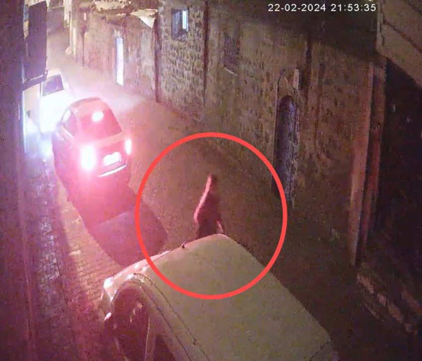 Hemşire Pınar'ın silahla ölümüne ilişkin davada tahliye edilen eş, yeniden tutuklandı - Resim: 1