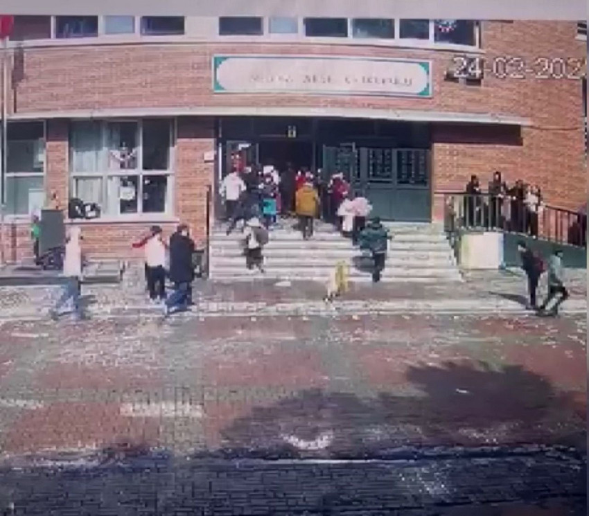 İstanbul'da tasmasından kurtulan köpek okul bahçesinde dehşet saçtı - Resim: 1