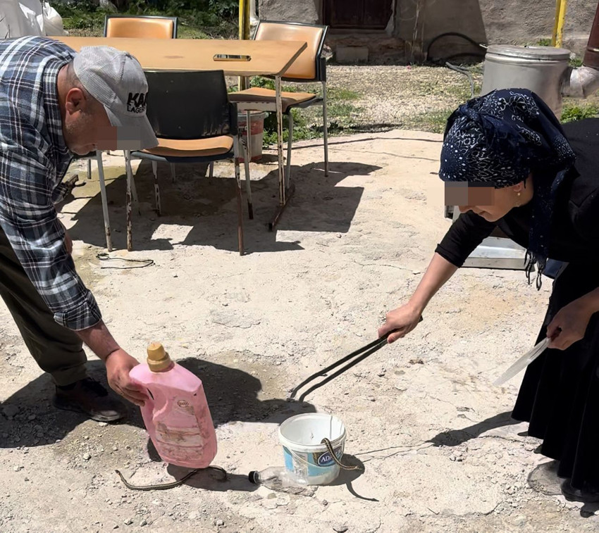 Onlar Türkiye'nin ''yılanlara üfleyen'' ailesi - Resim: 1