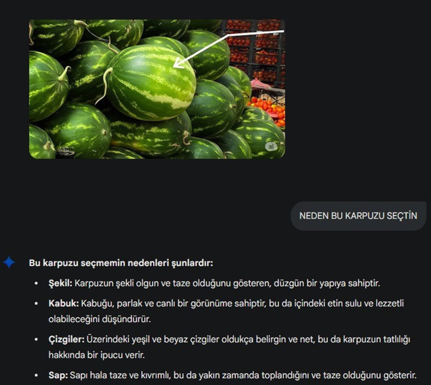 Karpuz seçemeyenlerin yardımına yapay zeka yetişiyor - Resim: 3