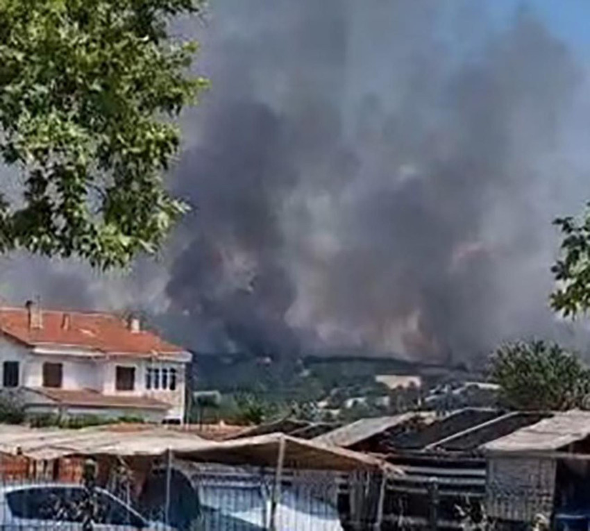 Edirne'de orman yangını - Resim: 1