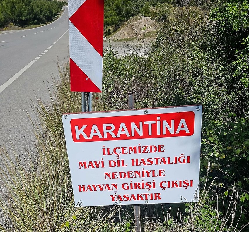 Türkiye'nin tatil cenneti Datça'da karantinaya kararı - Resim: 1