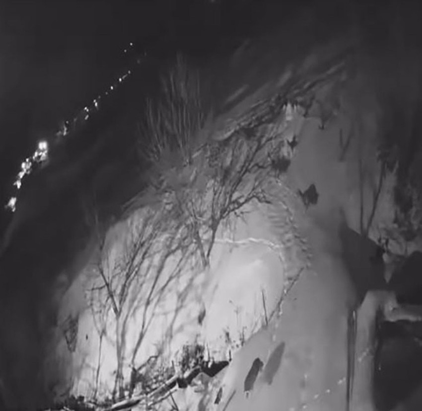 Şavşat’ta korku dolu gece! Aç kalan kurt sürüsü köyü kuşattı: Evlerin kapısına kadar geldiler - Resim: 4