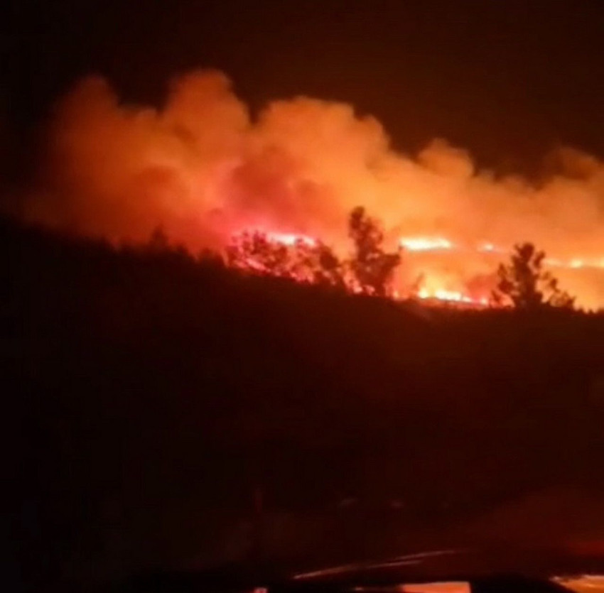 İzmir Urla'da orman yangını - Resim: 3