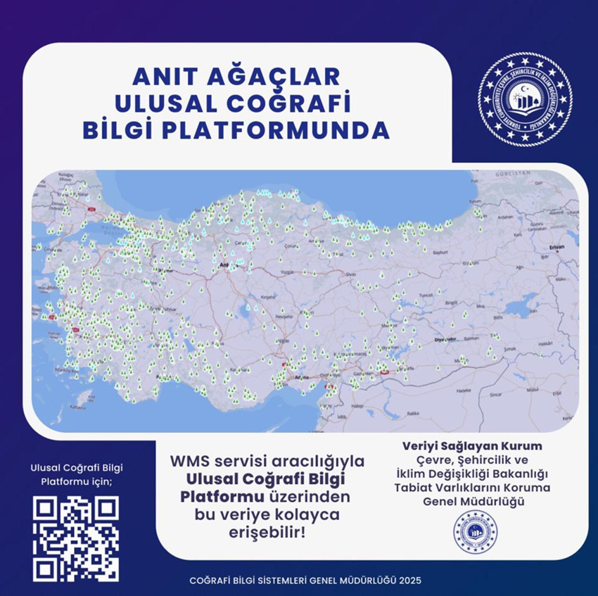 Fay hatlarından sığınaklara... Türkiye'nin dijital haritaları bir tık uzağınızda - Resim: 3