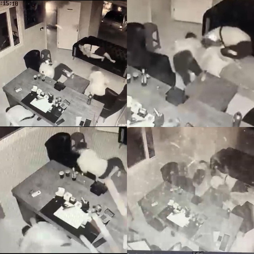 Kadın meselesi kıskançlığı dehşeti kamerada: Tetikçi tutup mekan tarattılar - Resim: 3