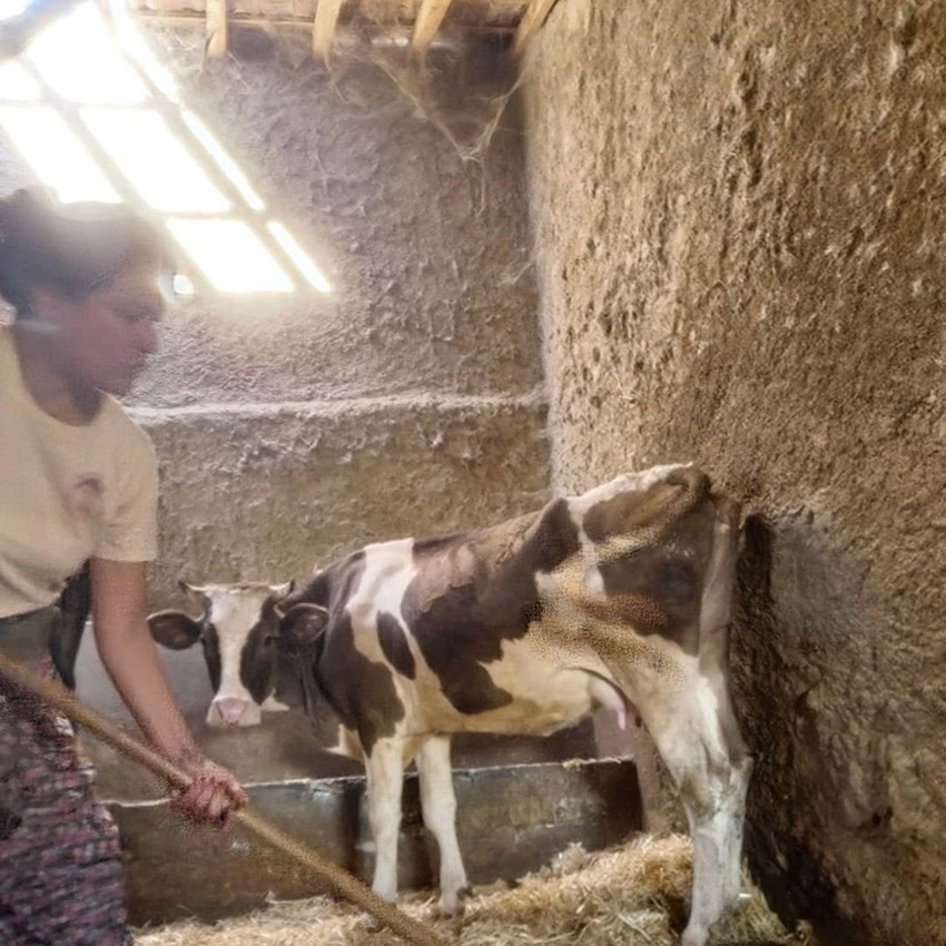 Türkiye'nin dev holdingi Boyner’in genç varisi Elif Boyner, İstanbul'u terk edip bir köye yerleşti! - Resim: 3