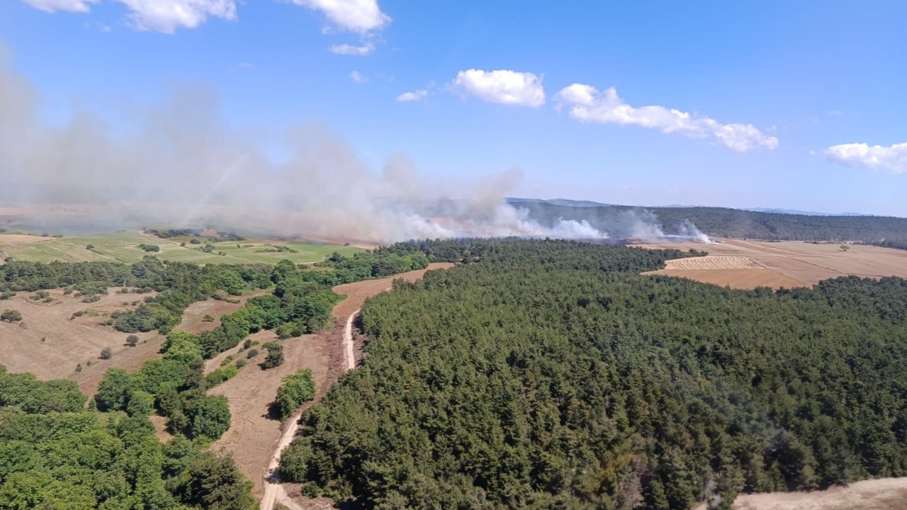 Çanakkale Eceabat'ta ormanlık alanda söndürme çalışması yapan ekipler.