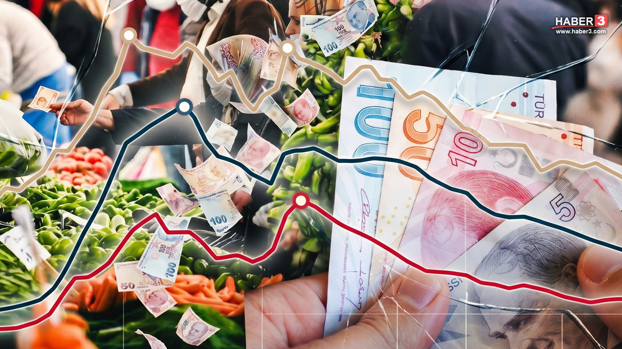 Türkiye Cumhuriyet Merkez Bankası logosu ve ekonomik grafikler