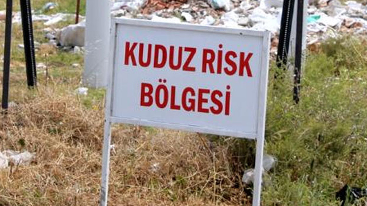 Van Edremit tabelası ve bölgeden genel görünüm
