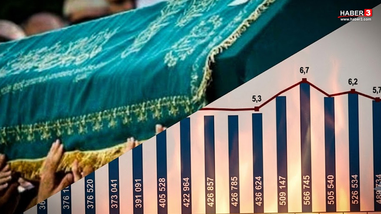 TÜİK tarafından açıklanan 2025 yılı ölüm istatistikleri verilerini gösteren grafik veya tablo.