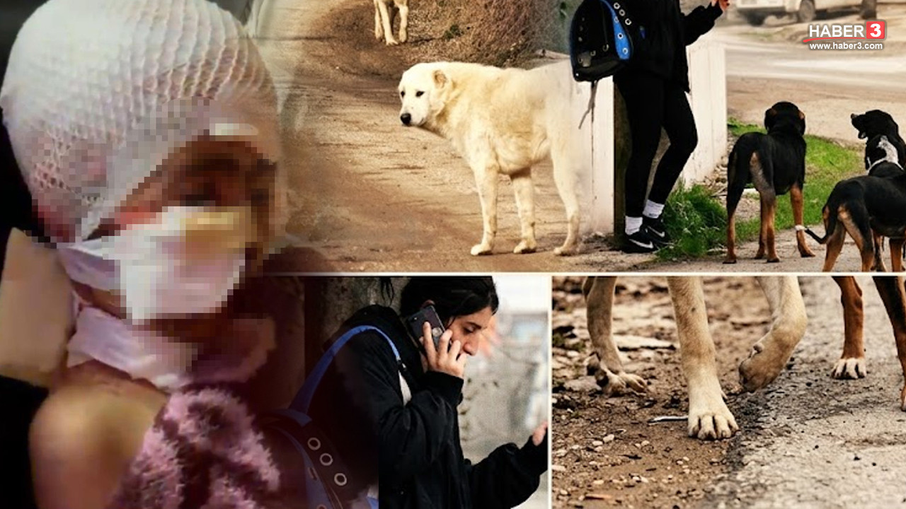 İçişleri Bakanlığı logosu ve Türkiye haritası üzerinde iki ilçe simgesi