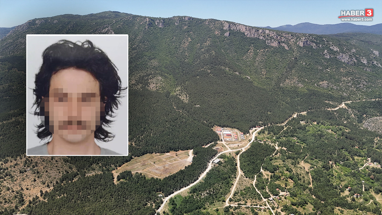 Safranbolu'da kayıp olarak aranan üniversite öğrencisi H.D.'nin cansız bedeninin bulunduğu ormanlık alan.