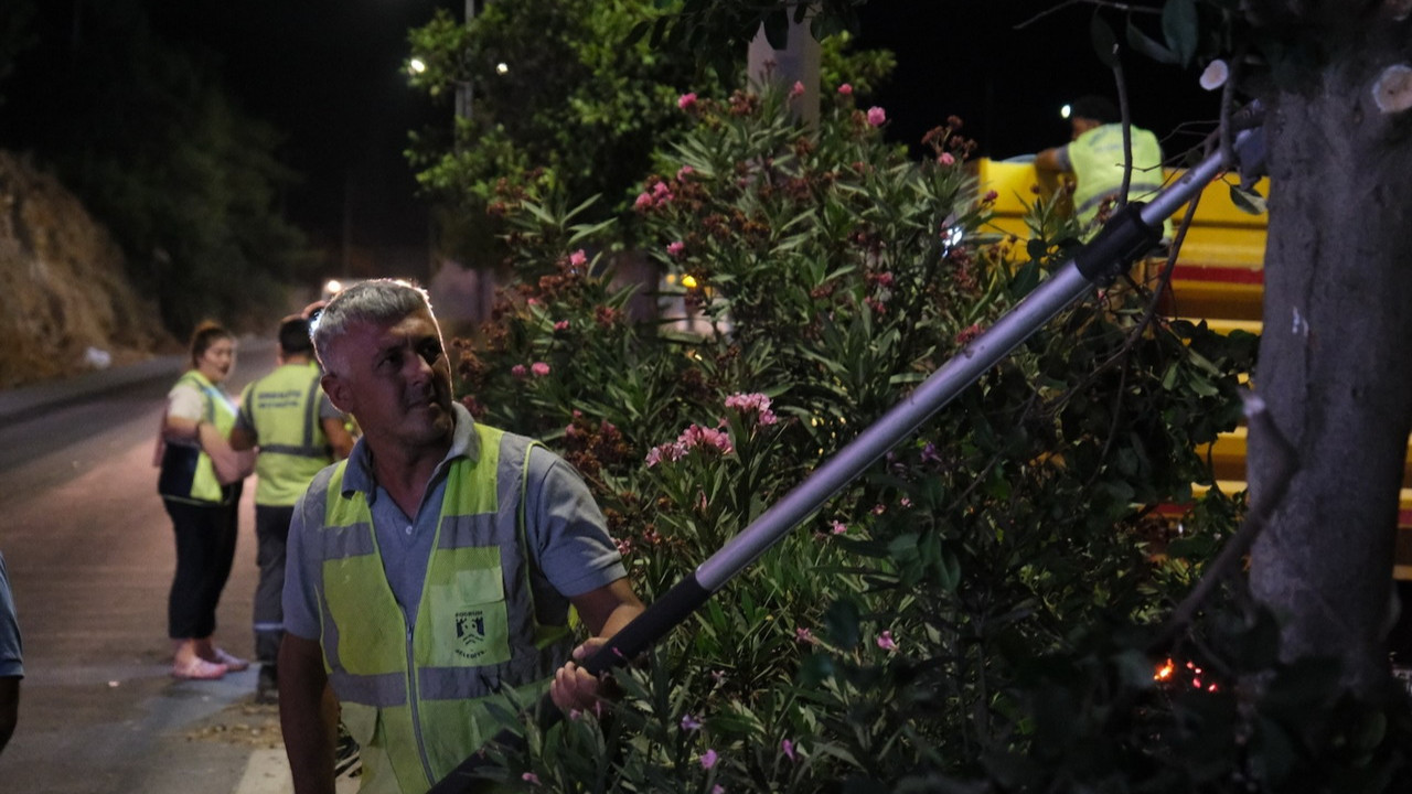 Bodrum'da gece saatlerinde orta refüjde yapılan ağaç budama çalışması.