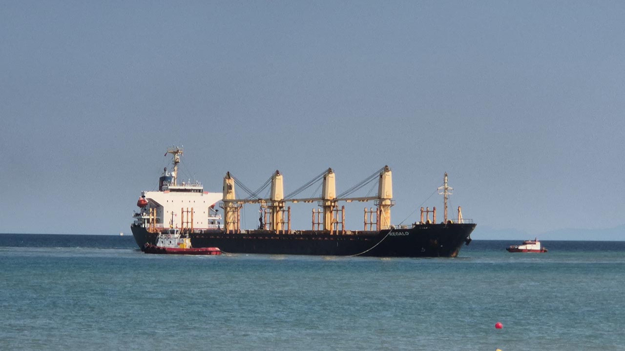 Tekirdağ'da 169 metrelik yük gemisi karaya oturdu