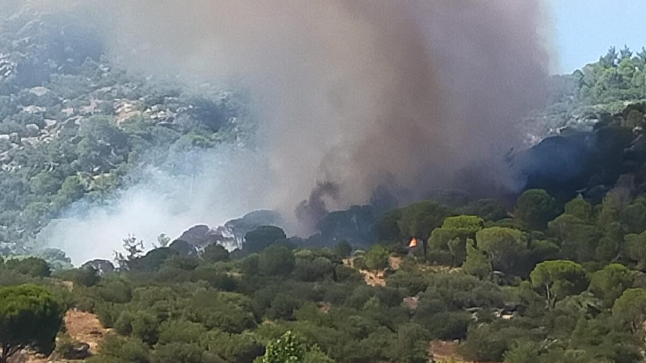 Muğla'da ormanlık alanda yangın