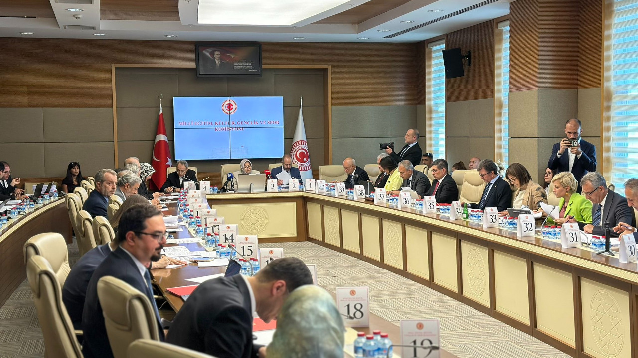 TBMM genel görünümü ve komisyon çalışmaları