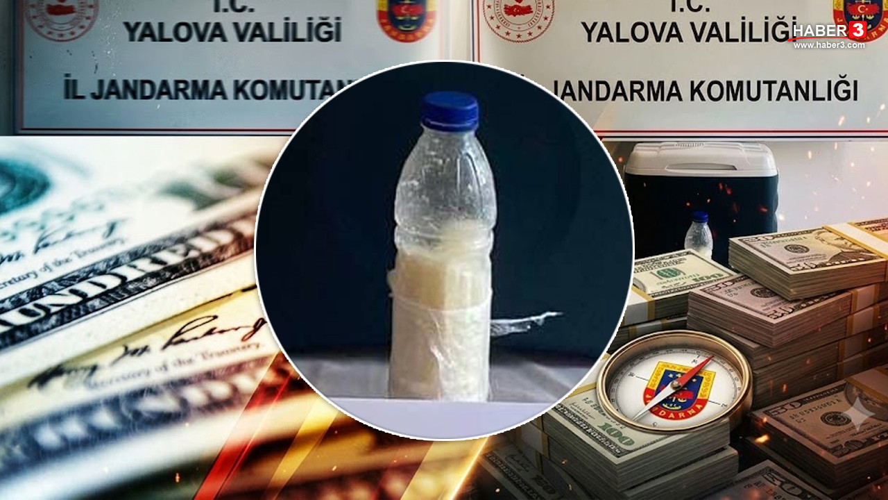Yalova'da jandarma ekiplerinin düzenlediği operasyonda ele geçirilen akrep zehri.