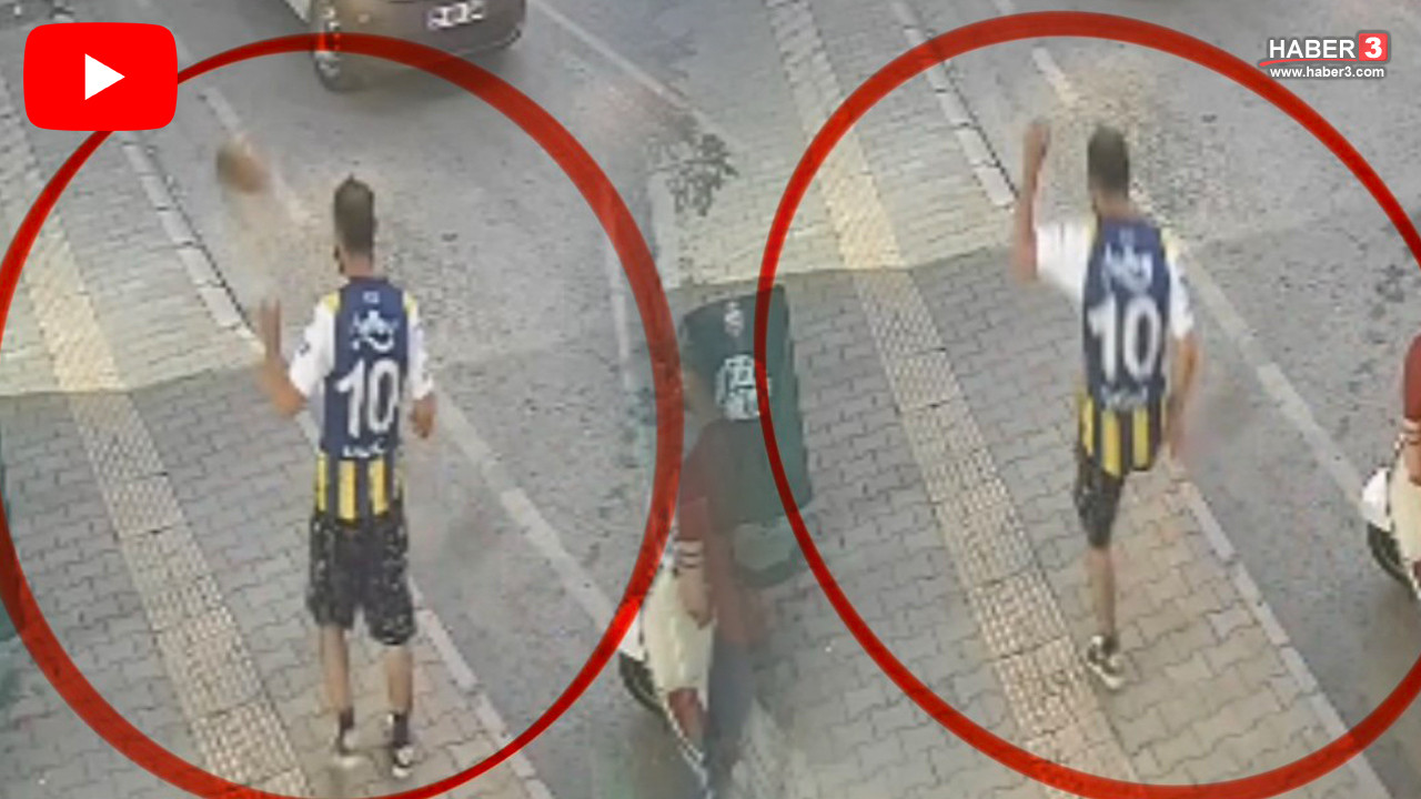 Samsun'da bir sokak kedisine tekme atıldığı anı gösteren güvenlik kamerası görüntüsü.