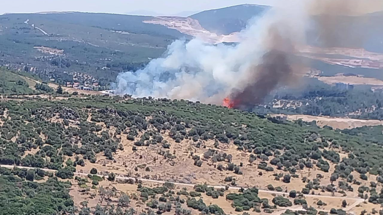 İzmir'de bir orman yangını daha