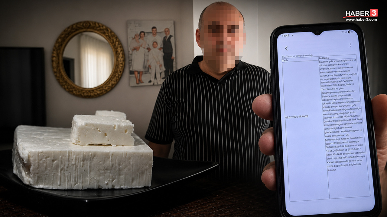 Market rafında peynir ürünleri