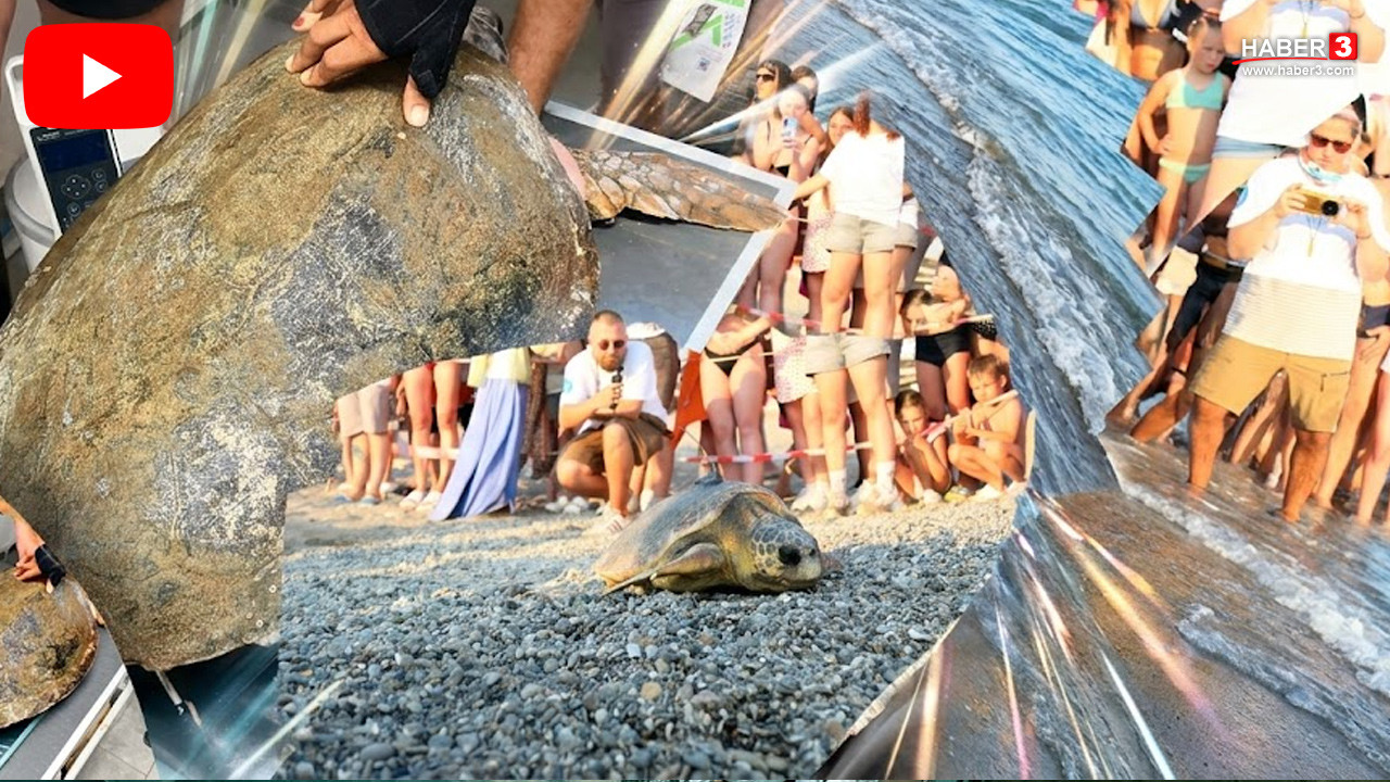 Türkiye'nin doğuştan engelli Caretta Carettası'na uydudan takip