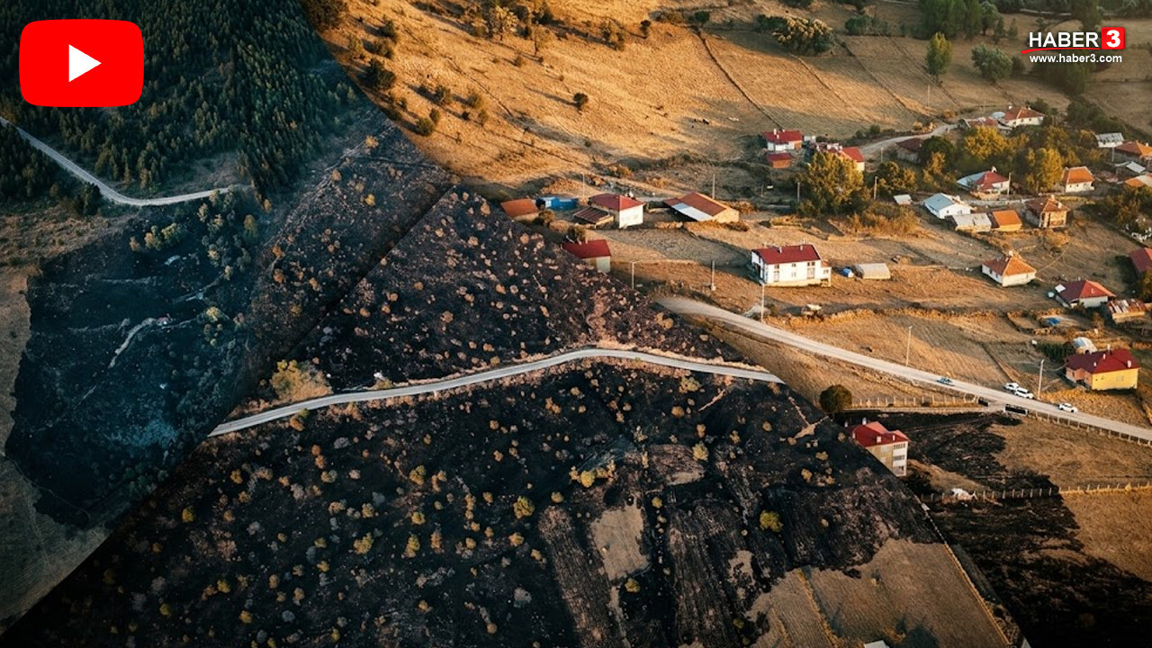 Ormana sıçrayan yangında küle dönen ormanın son hali kahretti!