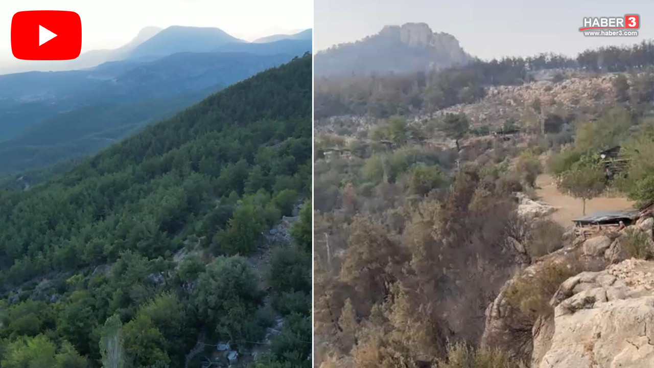Yemyeşil ormandan geriye kül kaldı! Yangından önce ve sonra çekilen görüntüler kahretti
